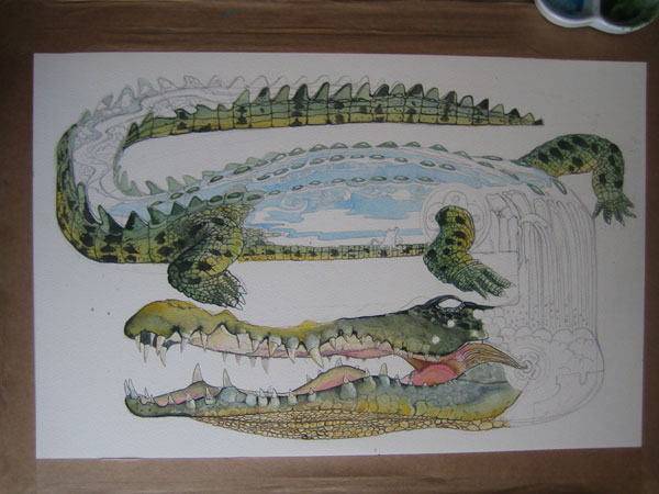 Crocodile illustration in progress