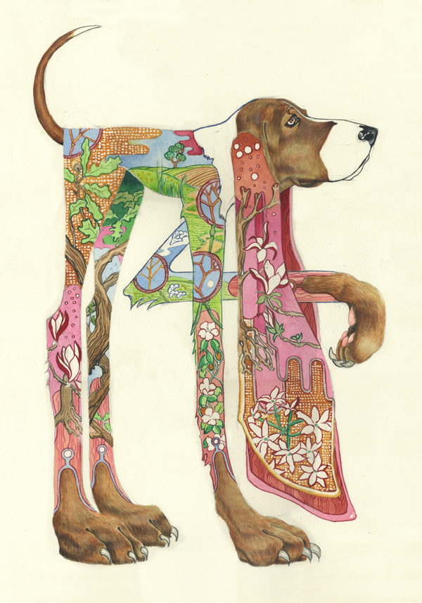 Watercolour painting of a hound with long legs