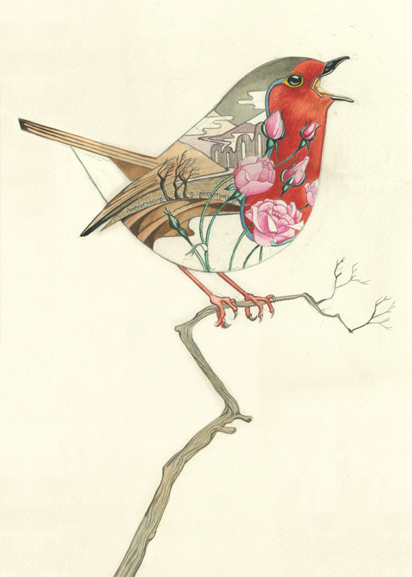 Robin redbreast Watercolour 