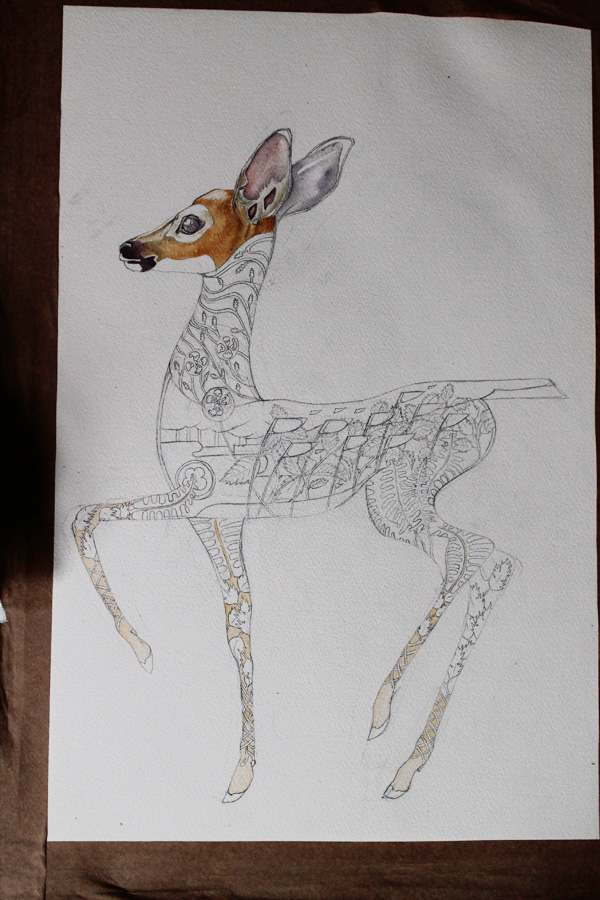 Fawn water colour in progress